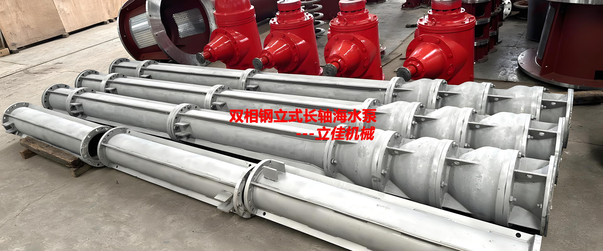 立式雙相鋼長(zhǎng)軸泵